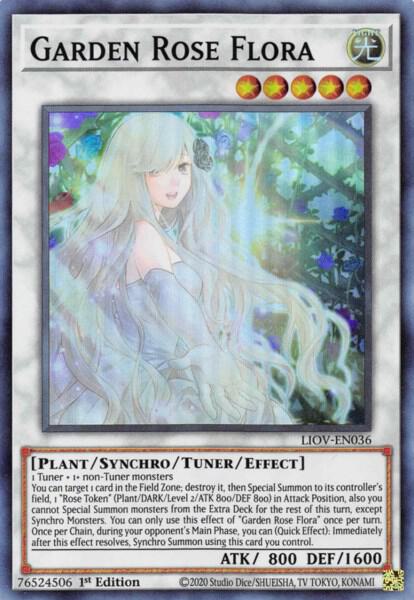 Garden Rose Flora - Lightning Overdrive (LIOV) LIOV-EN036